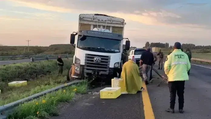 Un camión despistó en la Ruta 14 tras esquivar un ciervo