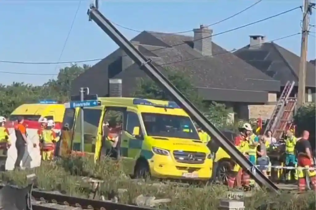 Un tren chocó un micho escolar