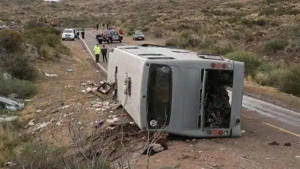 El micro en el que murieron 15 personas no estaba habilitado