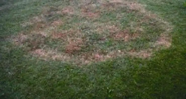 Extraña mancha de “Ovni” en Río Tala