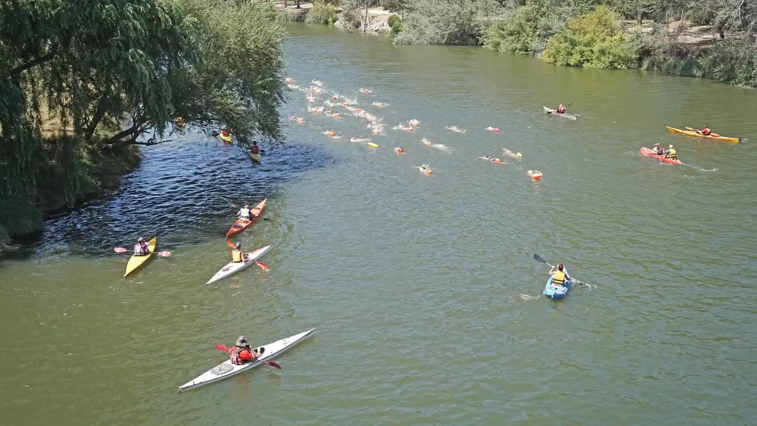 Homenaje a Eduardo Otero 7