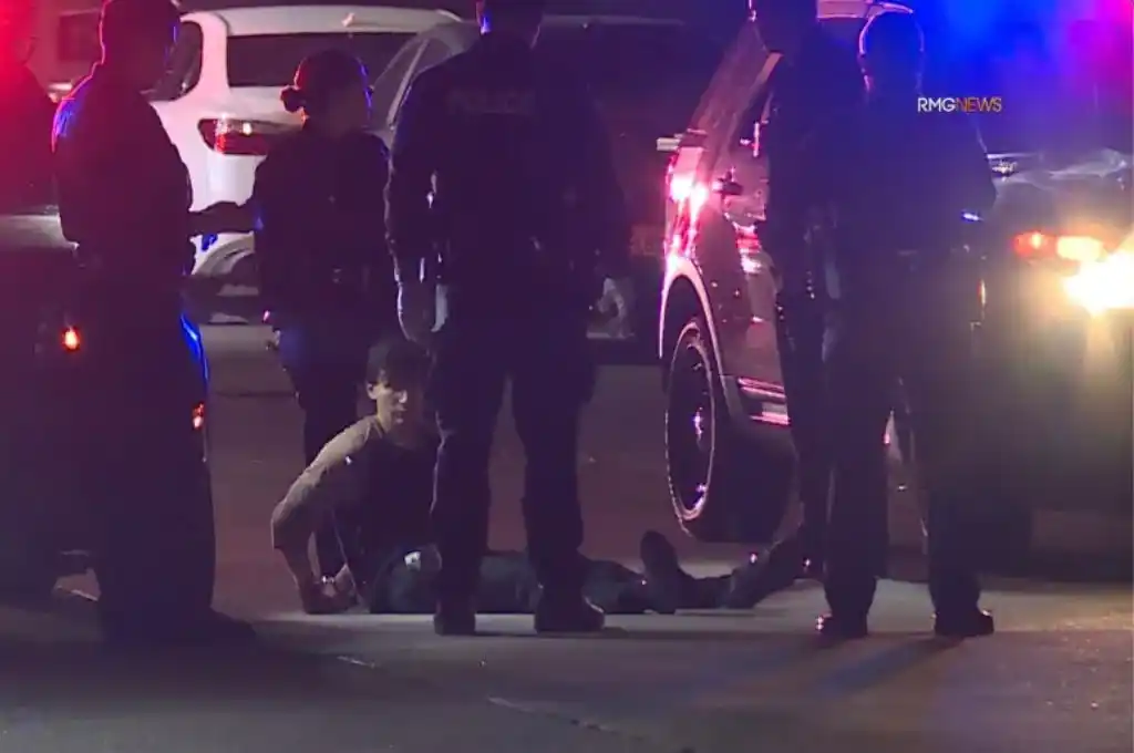 Los Ángeles: un joven atacó con una katana a una mujer que paseaba con un perro