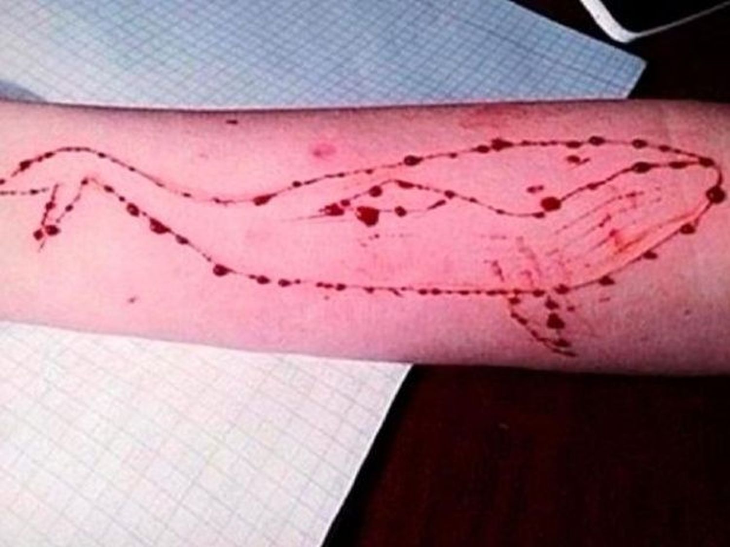 La primera víctima de la “Ballena Azul” en Argentina