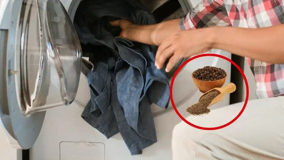 Truco casero: por qué recomiendan poner pimienta negra en el lavarropas