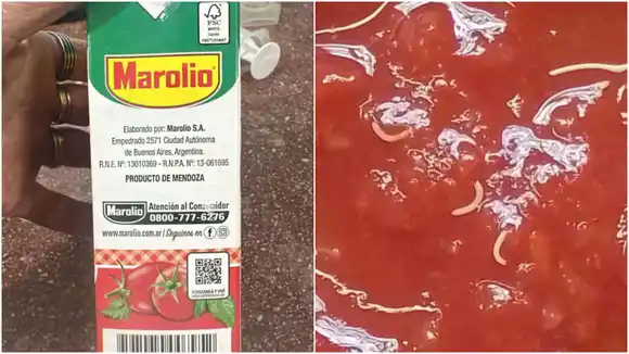 Escuelas del municipio de Rojas distribuyeron tomates Marolio con gusanos y ANMAT lanzó alerta a todo el país