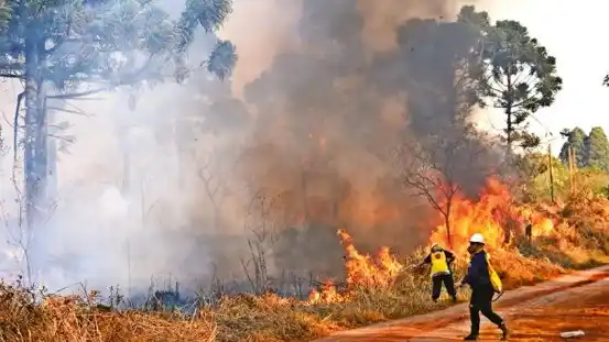 incendio en misiones - 1