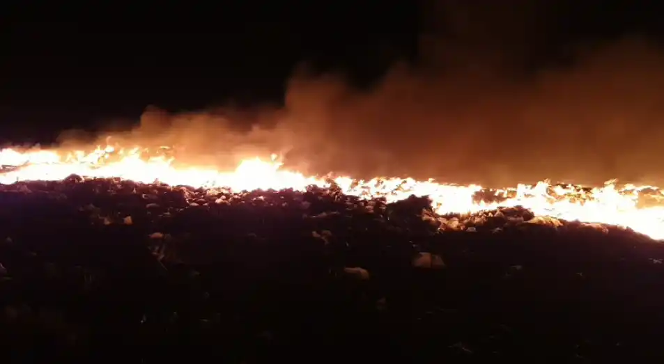 Tras una maratónica tarea, los bomberos lograron extinguir el incendio en el Ecoparque