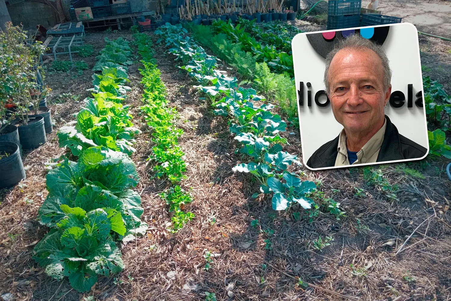 El secreto de la huerta en otoño: ¿qué plantar hoy para cosechar mejor según un ingeniero rafaelino?