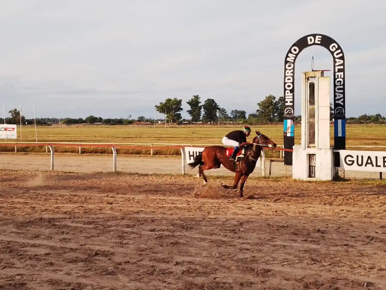 Turf: Radiante Boy y Noah Tom, los ganadores de la Copa Criadores