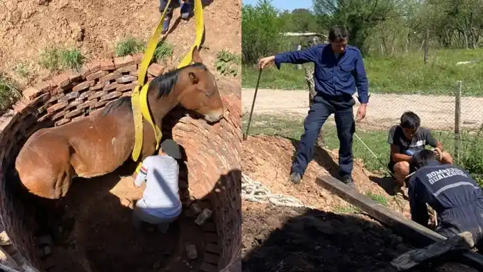 Bomberos Voluntarios rescataron a un caballo que se había caído en un pozo