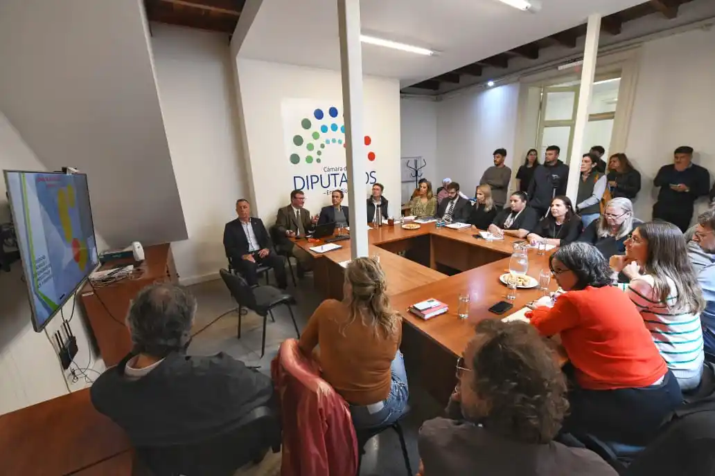 La comisión de Recursos Naturales continuó con el tratamiento del proyecto de fitosanitarios