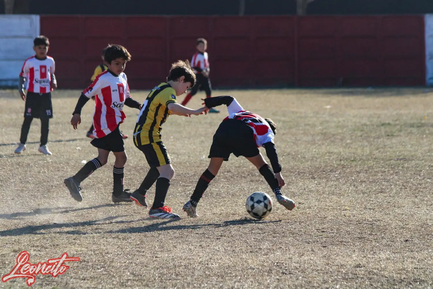 torneo leoncito femenino rafaela - 1
