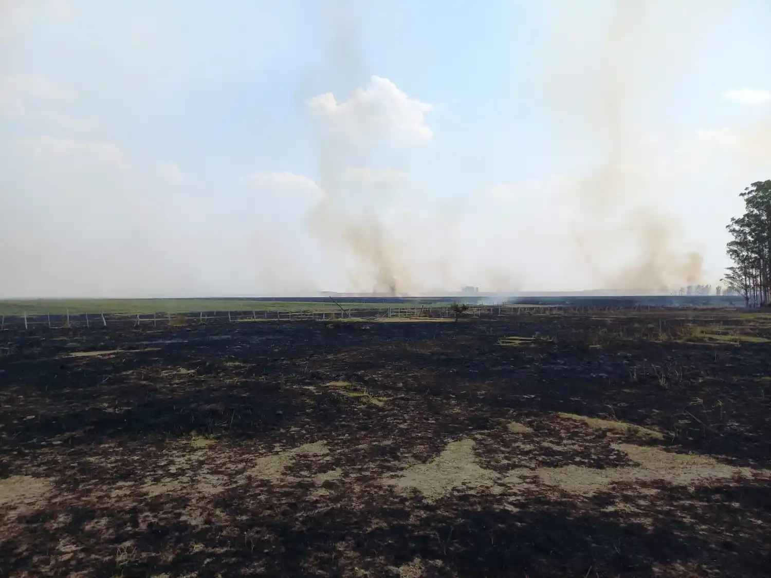 Corrientes: El fuego destruyó 50 años de investigación del INTA