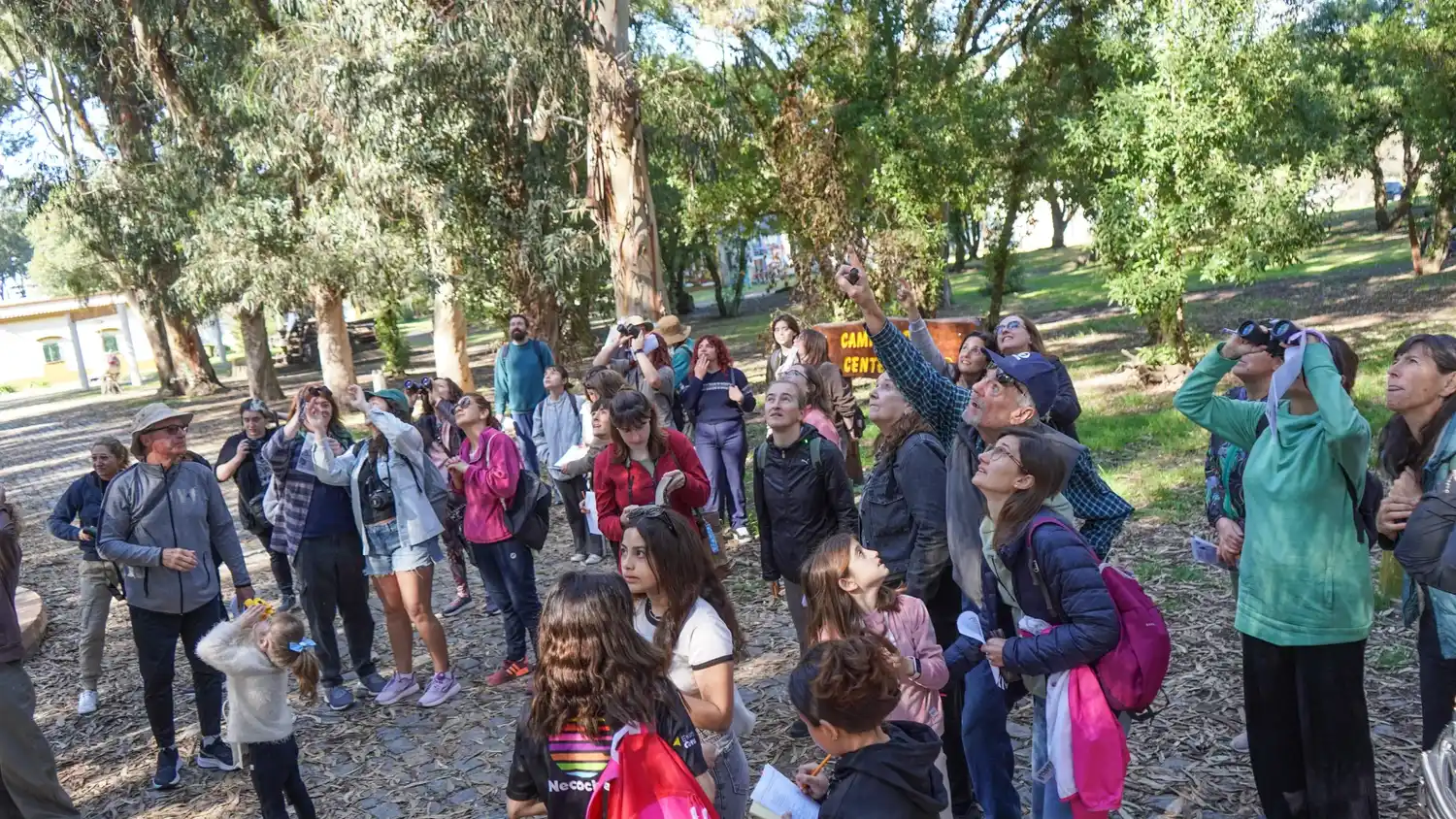 coa necochea club observadores de aves - 2