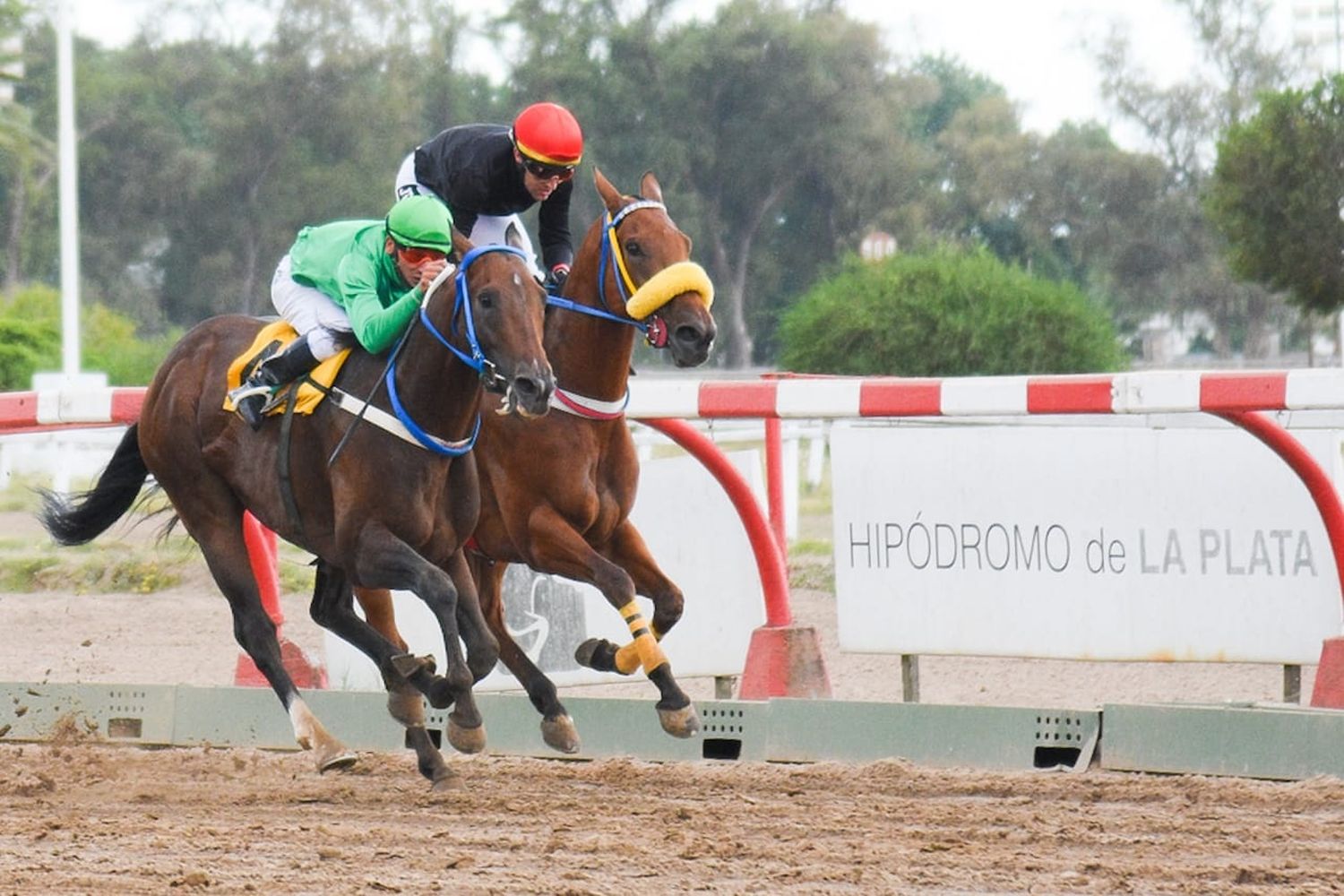 Fin de semana con carreras en San Isidro, Palermo y Rosario