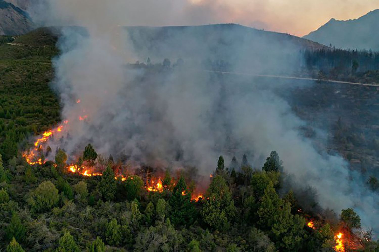 Los focos más activos persisten en la parte alta de la montaña dentro del Área Natural Protegida en Río Negro.