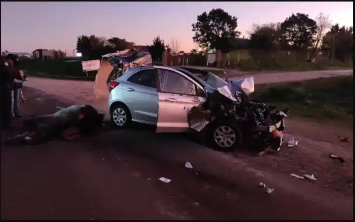 Ruta 11: Un automóvil embistió 3 equinos que se encontraban sobre la cinta asfáltica