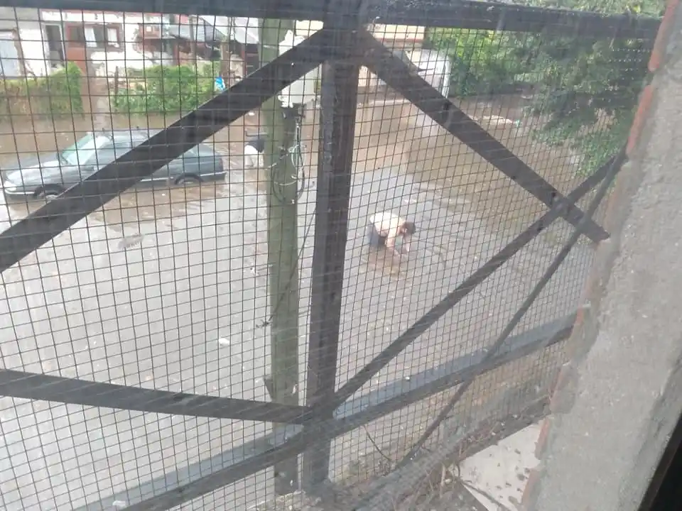 Berazategui quedó bajo el agua y los vecinos explotaron contra Mussi: "No se hace problema porque vive en country"