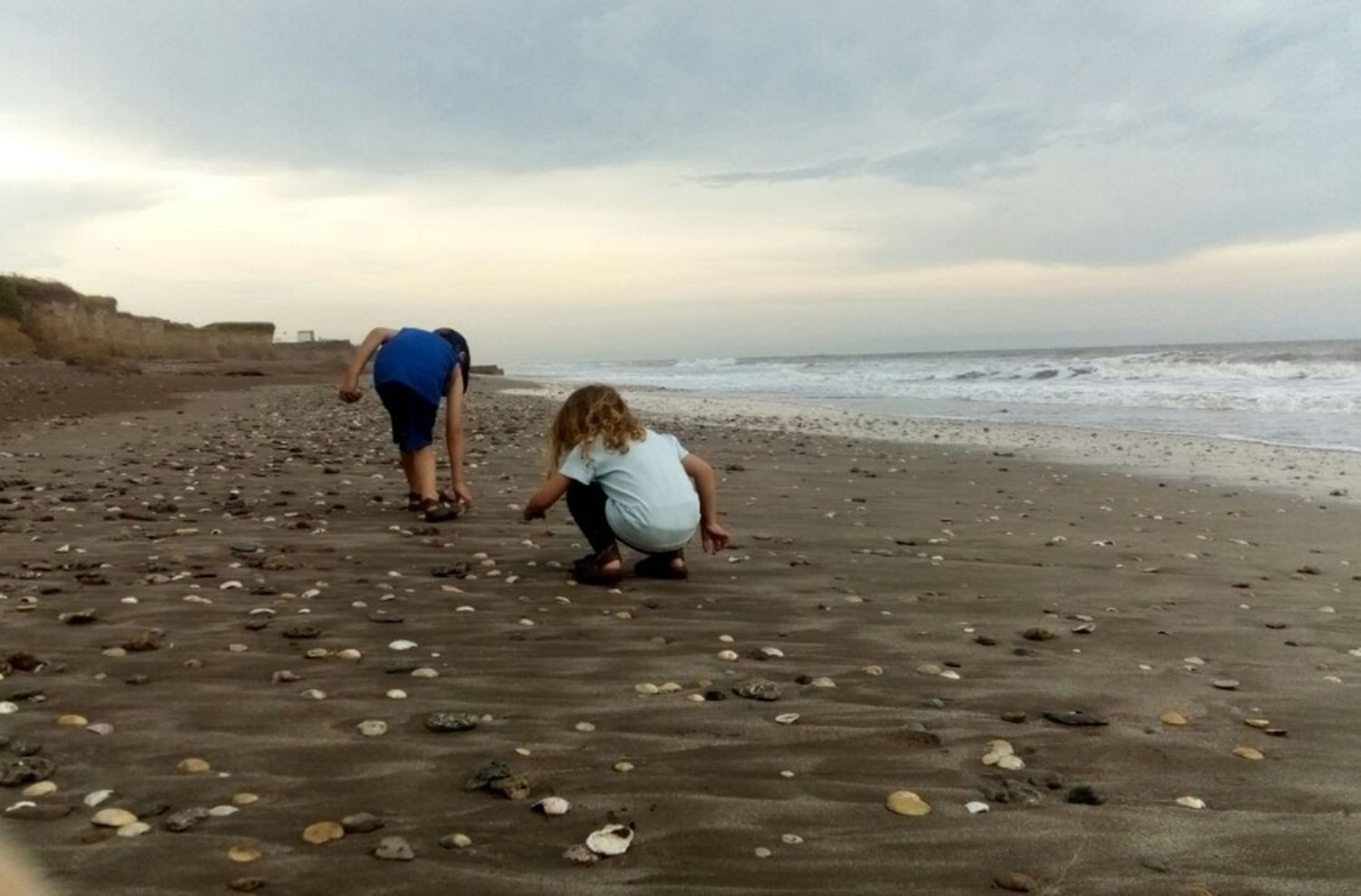 Caminaba en playas de Camet y halló un fósil de elefante prehistórico