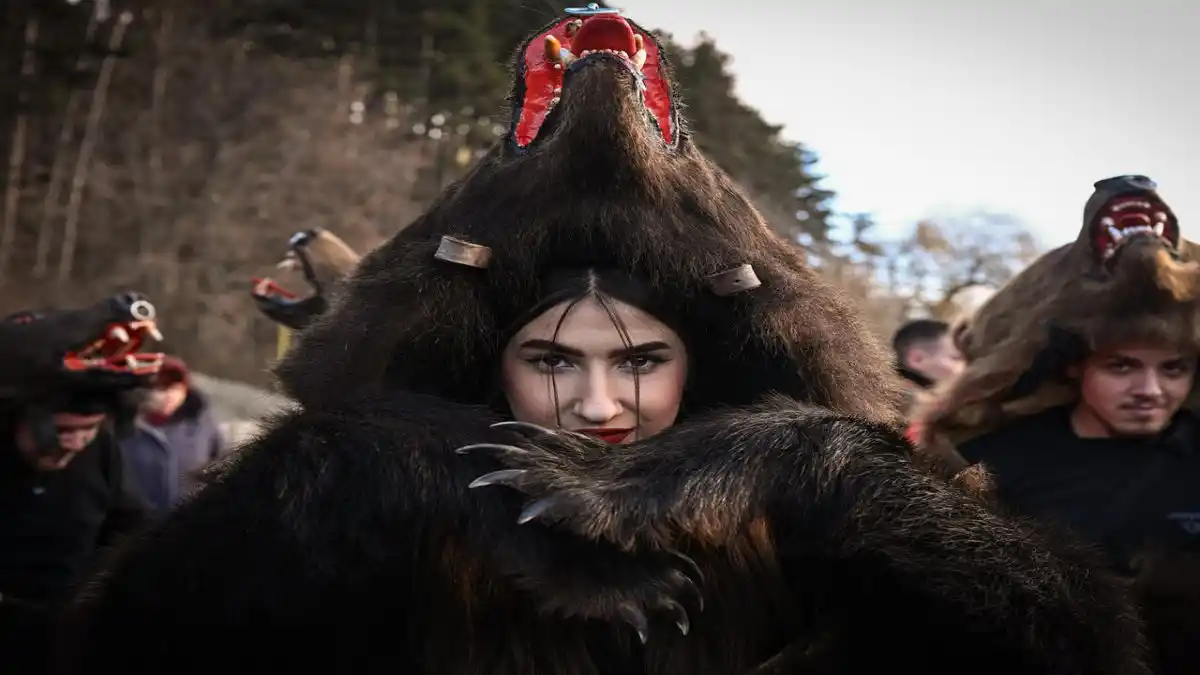 Un desfile de osos se convierte en una nueva atracción turística de Rumanía