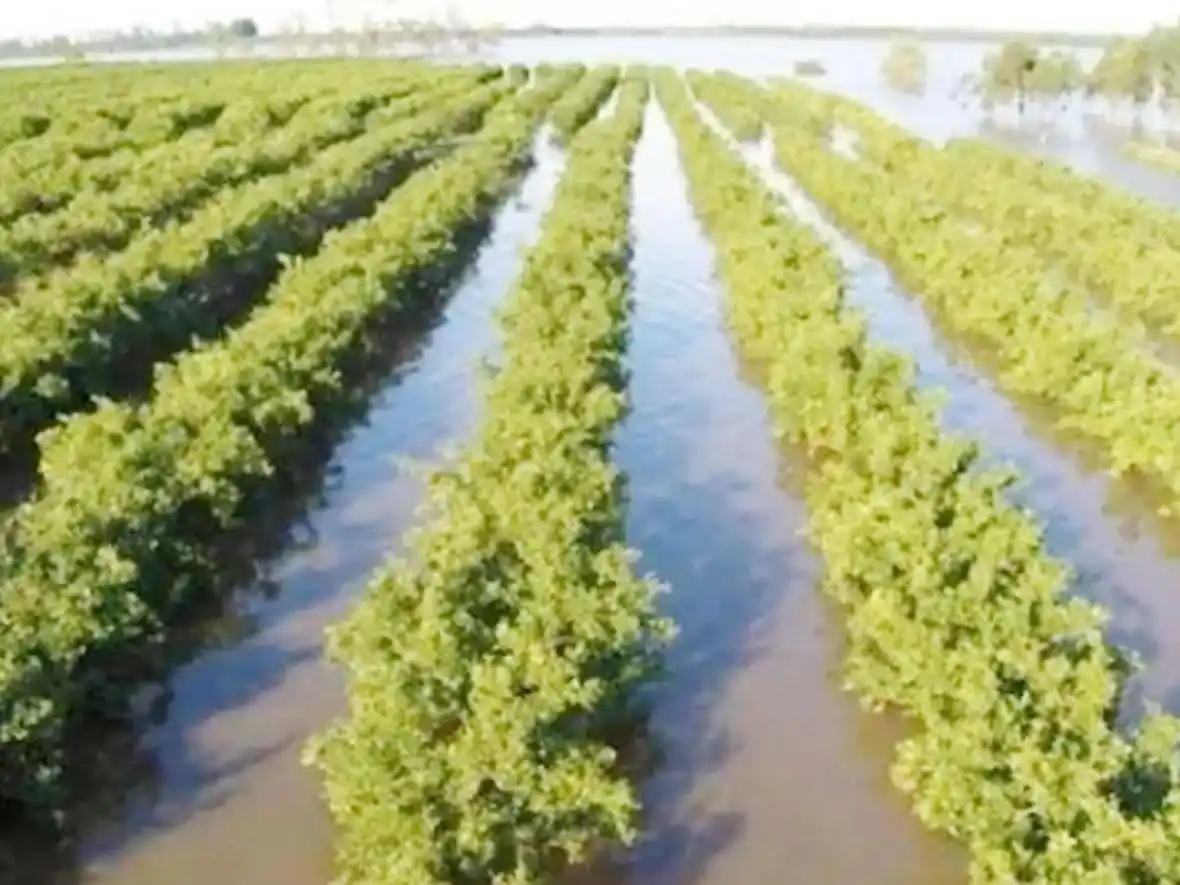 La Asociación de Ribereños del Río Uruguay pide audiencia a la CTM