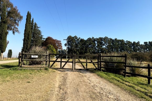 Drogas, muerte y misterio: tras la pericia toxicológica, Cámara ratificó la decisión de mantener presa a Pili Solís