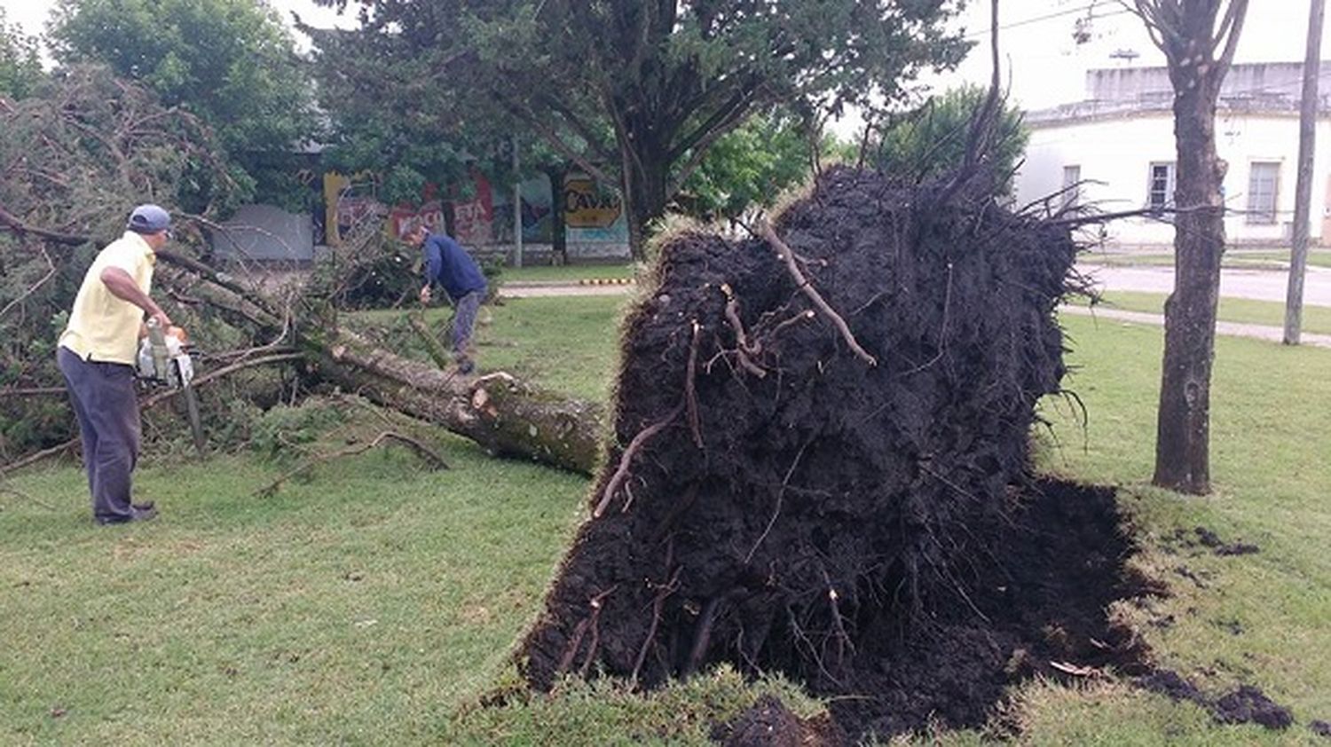 Con ráfagas de más de 100km/h, la tormenta dejó su paso por Urdinarrain