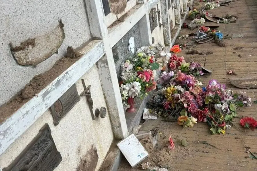 Vandalismo en un cementerio santafesino: vinculan los destrozos al consumo problemático