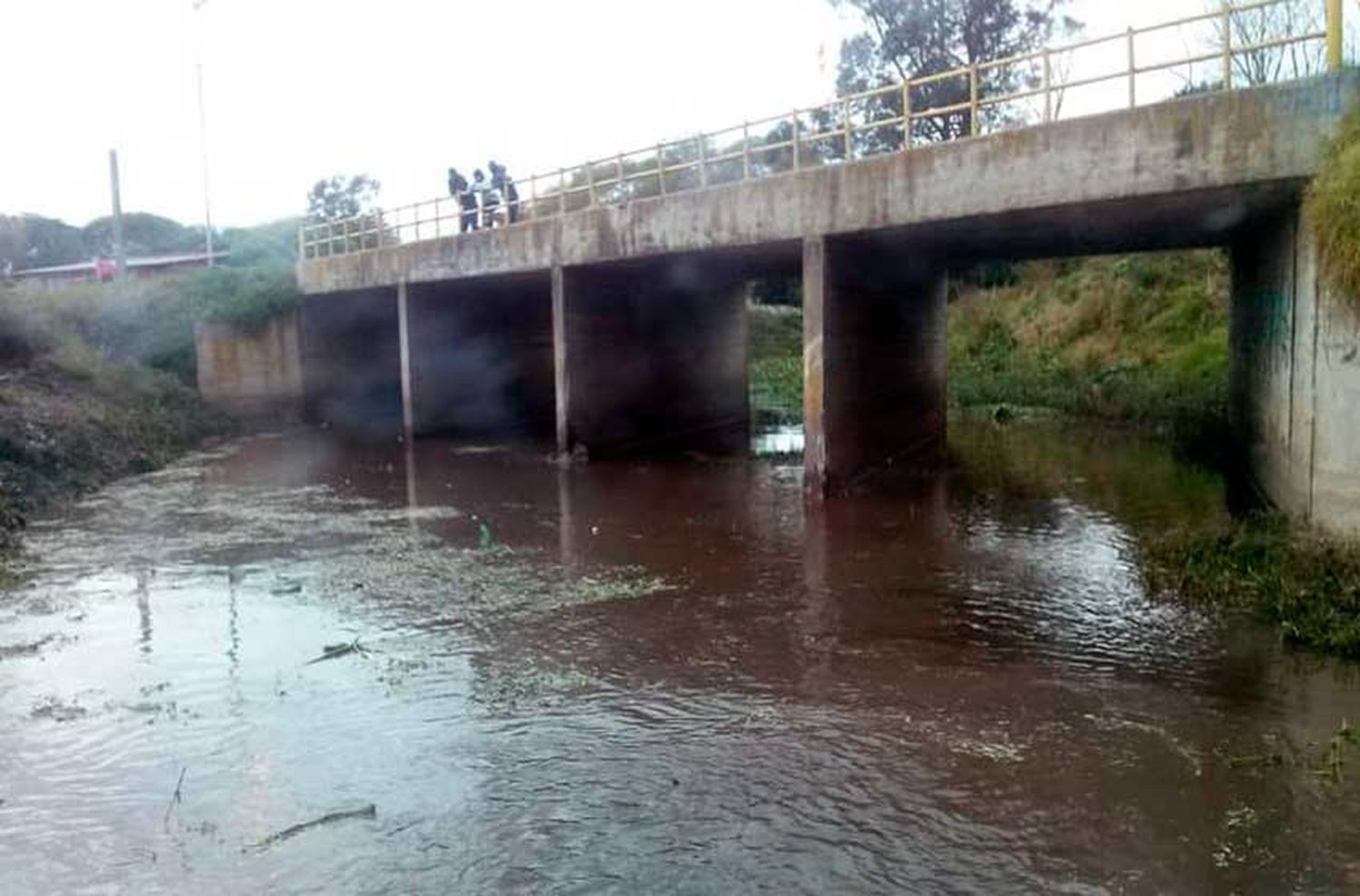 Obras Sanitarias realizó una limpieza del Arroyo La Tapera