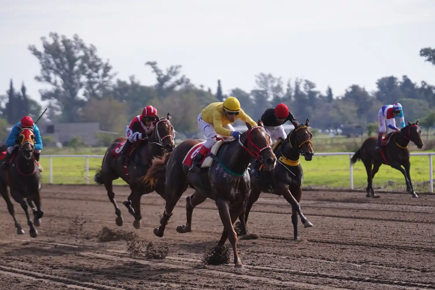 El próximo domingo, el "Boero" tendrá su novena reunión anual.
