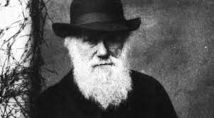 darwin