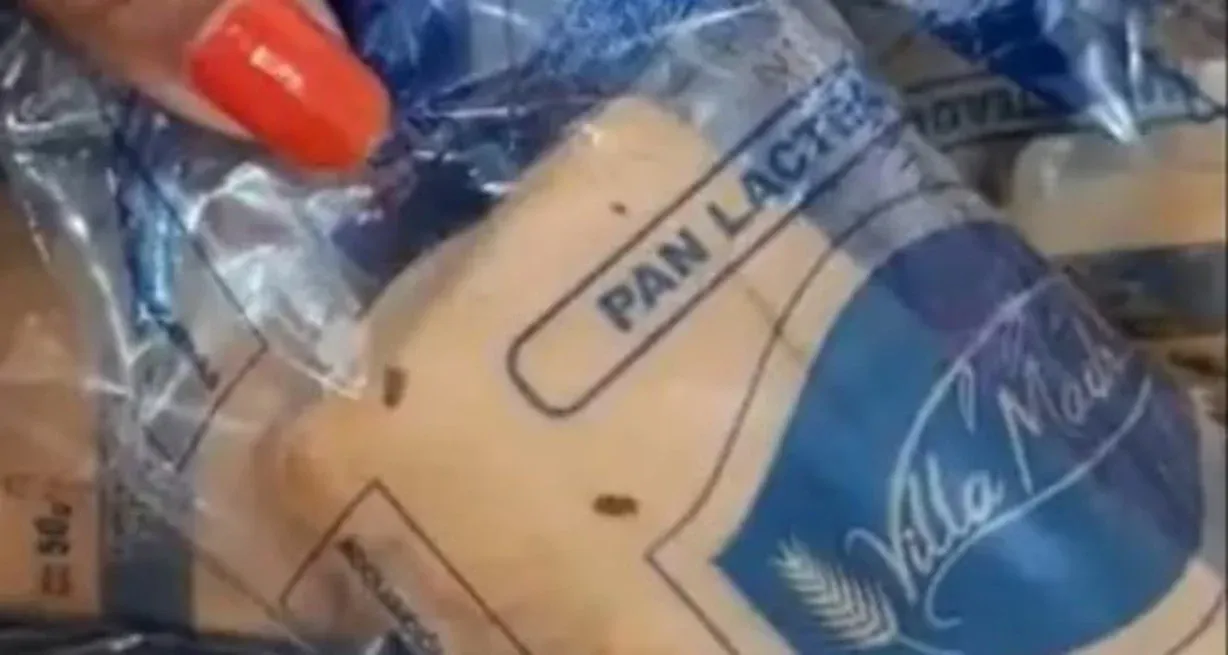 Servían panificados con insectos a los nenes de una escuela en Paraguay