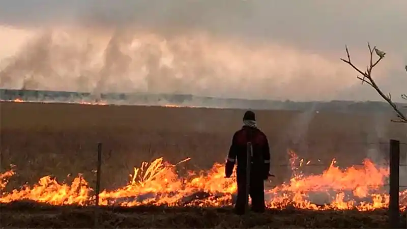 El Presidente viajará a Corrientes y estará en zonas afectadas por los incendios