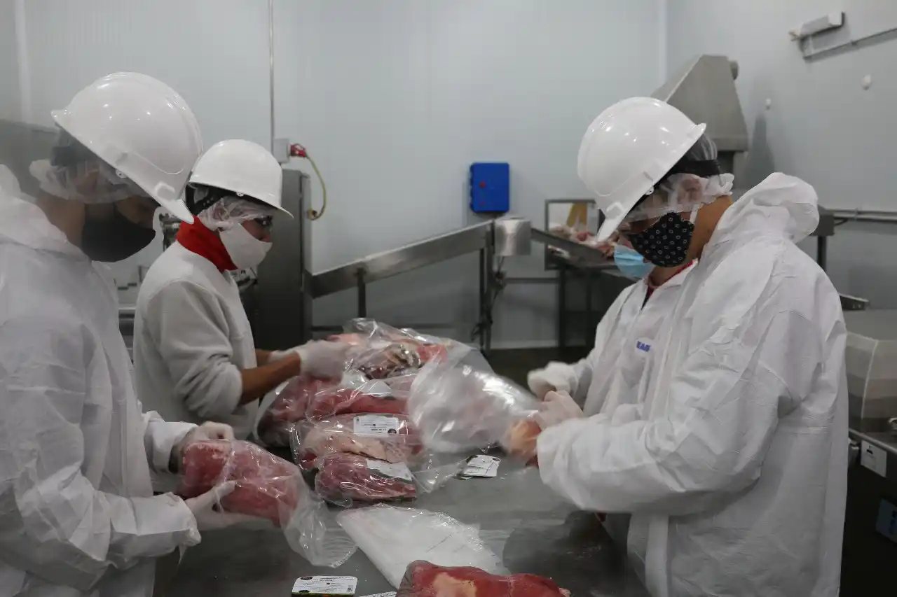 Frigorífico La Morena apuesta a la capacitación del personal y la modernización en la industria de la carne
