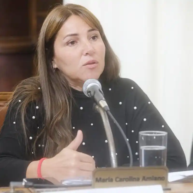Carolina Amiano advirtió que el decreto del intendente Azcué vulnera la autonomía del Concejo Deliberante