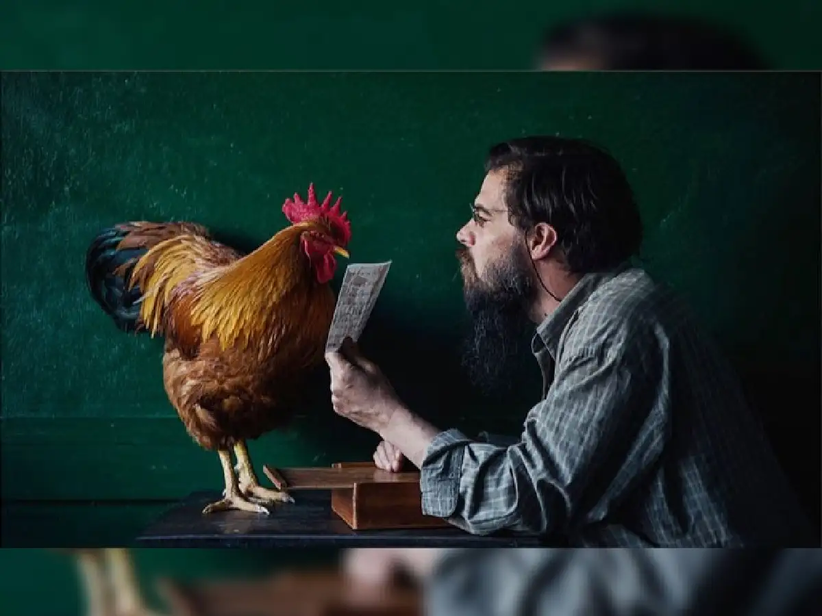 Gallos Rojos: la serie que recopila hitos  populares casi olvidados  de nuestra provincia 