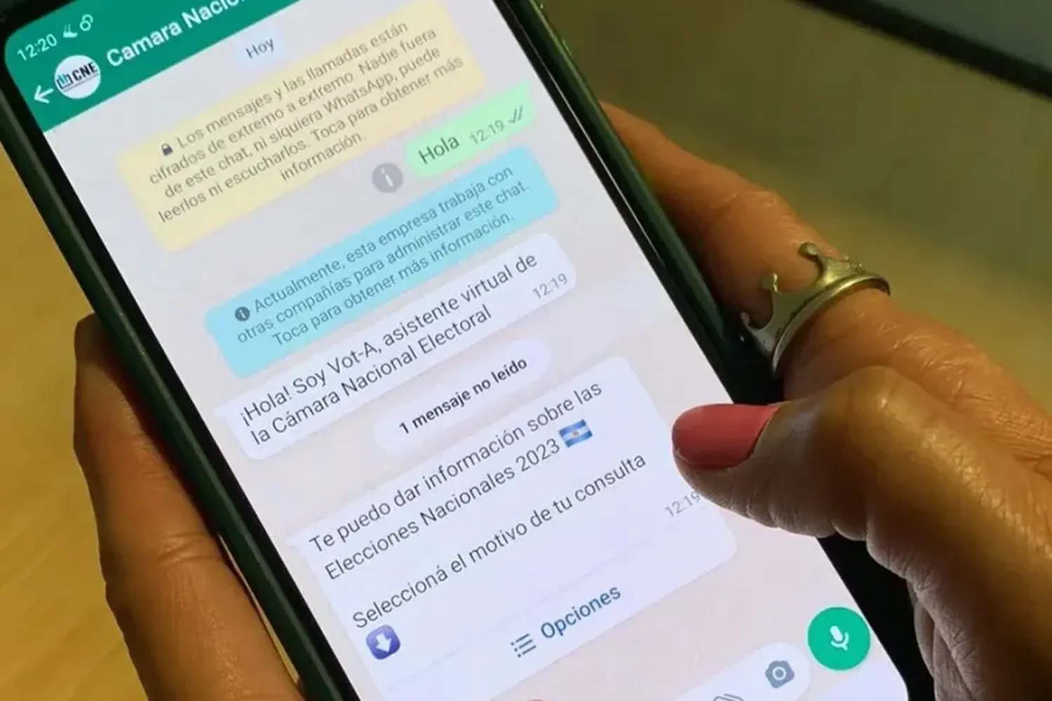 Un chatbot en WhatsApp responderá dudas sobre las Paso Nacionales: ¿cómo funciona?