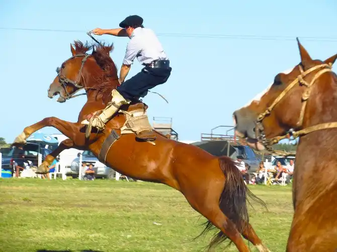 General Lavalle: La Fiesta nacional de Santos Vega fue postergada por la situación del Covid-19