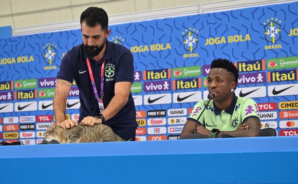 Vinicius Jr y la maldición del gato: una teoría que atormenta a la selección de Brasil