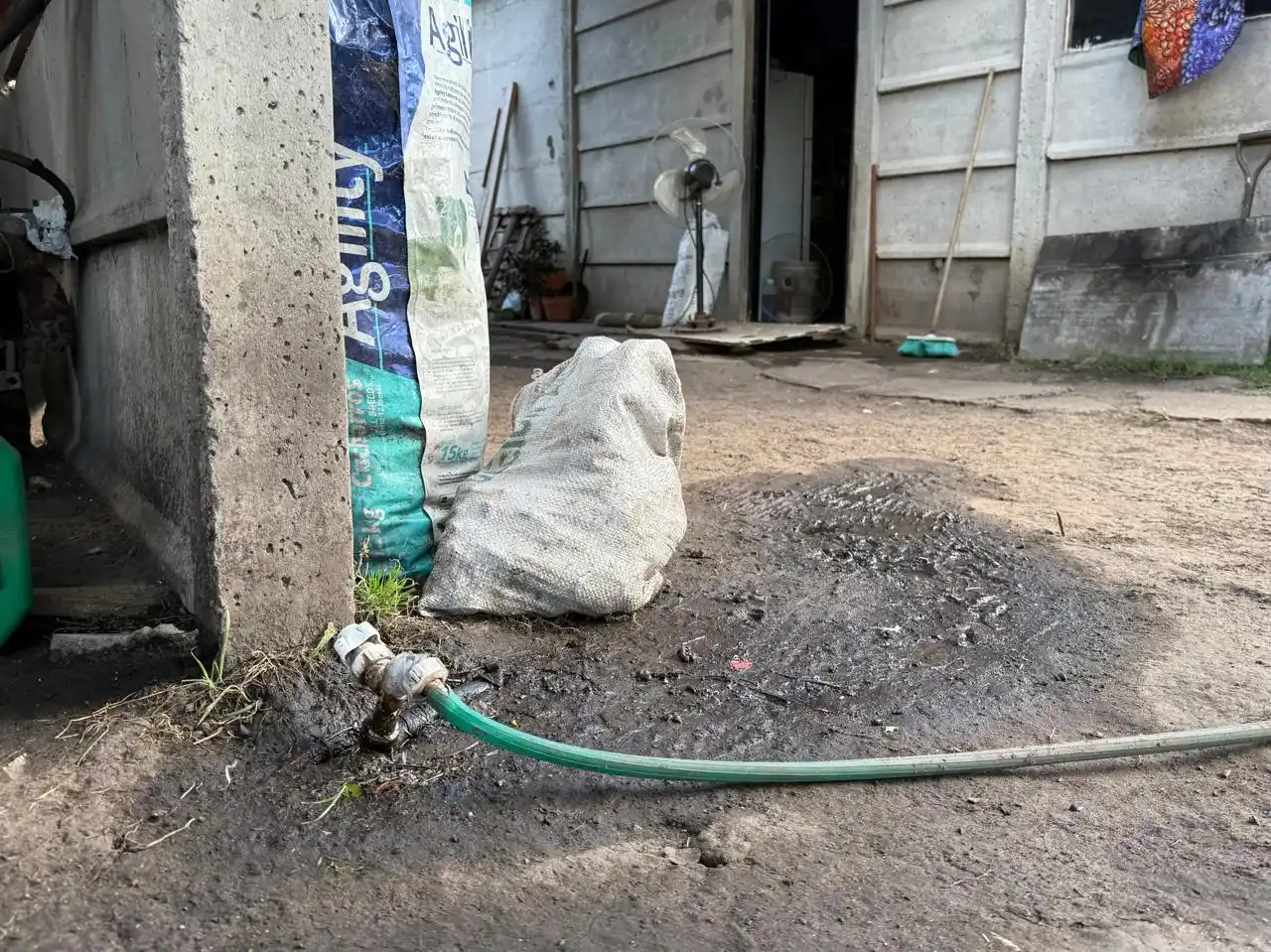 Mangueras al nivel del piso, parte de las conexiones precarias en Tarraubella.