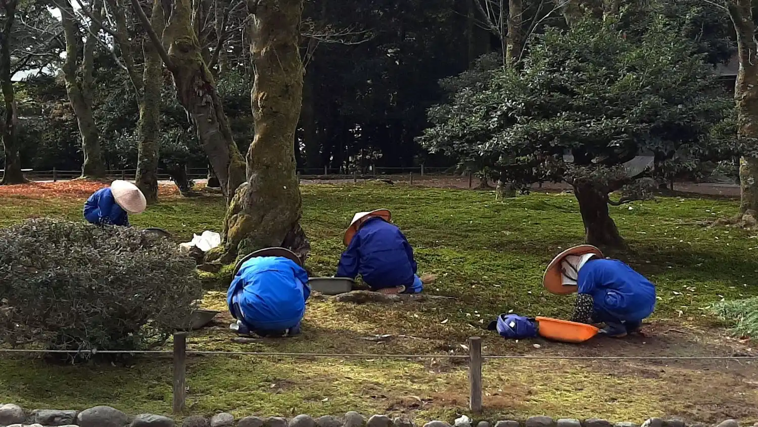 Interrupciones en Japón V