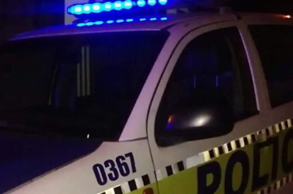 El efectivo hizo entrega de su arma reglamentaria y además se secuestró un revólver encontrado en el lugar donde cayó el sospechoso