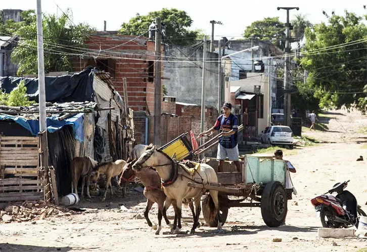 La situación de caballos maltratados