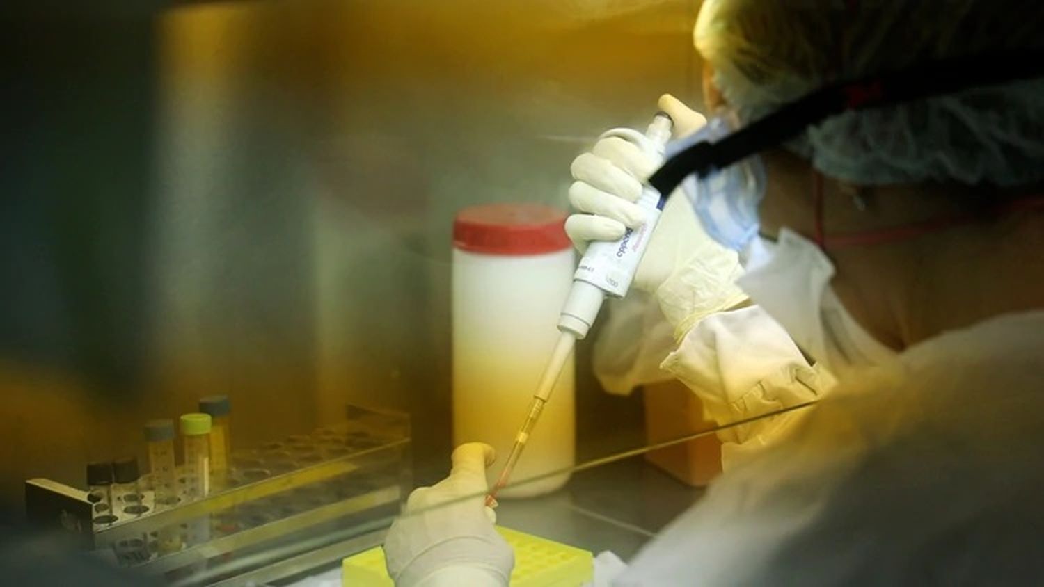 Analizan un posible caso de coronavirus en Santa Fe: la mujer llegó desde Japón