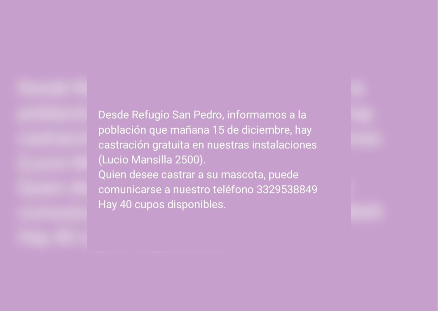 Castraciones gratis este viernes en el Refugio San Pedro