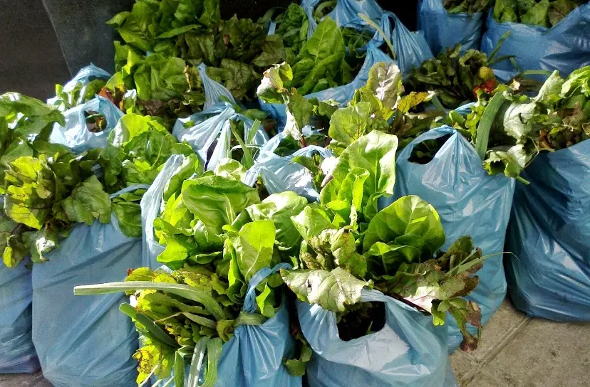 PRENSA MUNICIPAL: Frescura Natural crece para llegar a más barrios