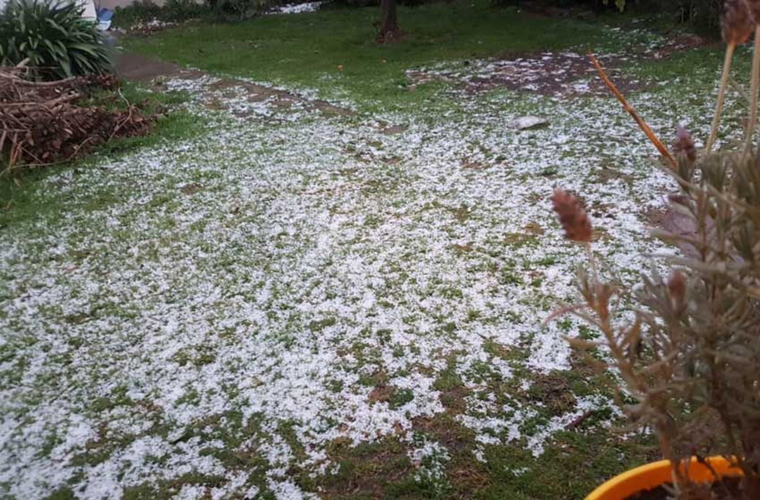 ¿Se viene la nieve a Mar del Plata?