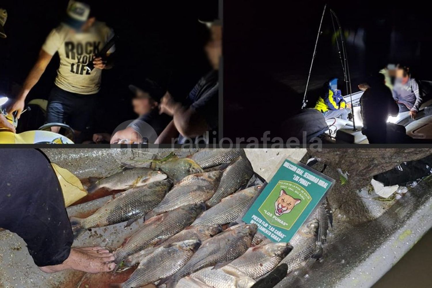 Tres personas fueron atrapadas con gran cantidad de pescados en infracción a la Ley de Pesca