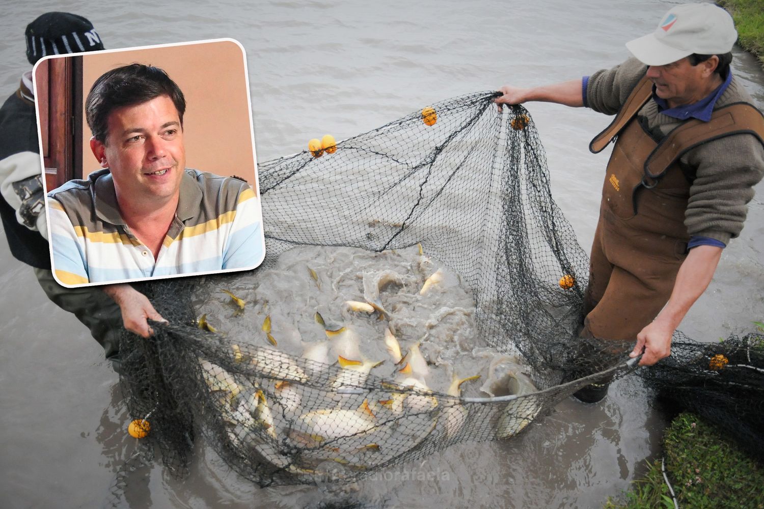 Santa Fe suspendió por un año el acopio de pescado para exportación: ¿qué implica?