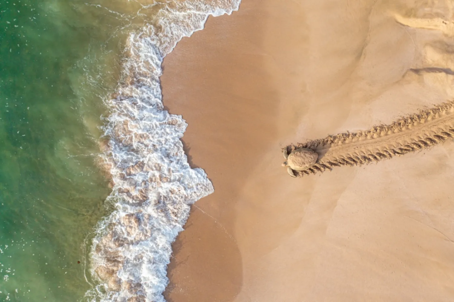 Fotos desde drones